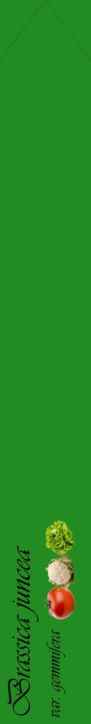 Étiquette de : Brassica juncea var. gemmifera - format c - style noire10_simpleviv avec comestibilité simplifiée