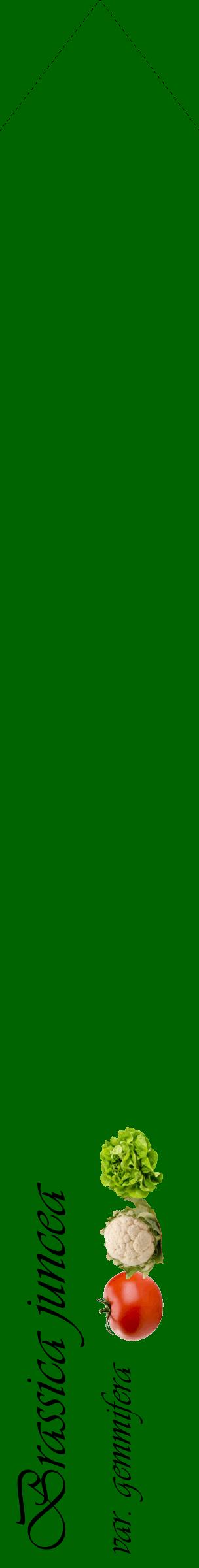 Étiquette de : Brassica juncea var. gemmifera - format c - style noire8_simpleviv avec comestibilité simplifiée
