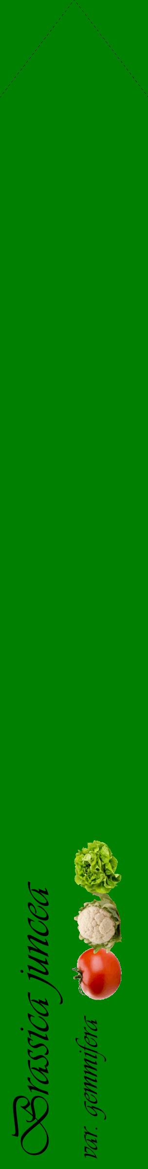 Étiquette de : Brassica juncea var. gemmifera - format c - style noire9_simpleviv avec comestibilité simplifiée