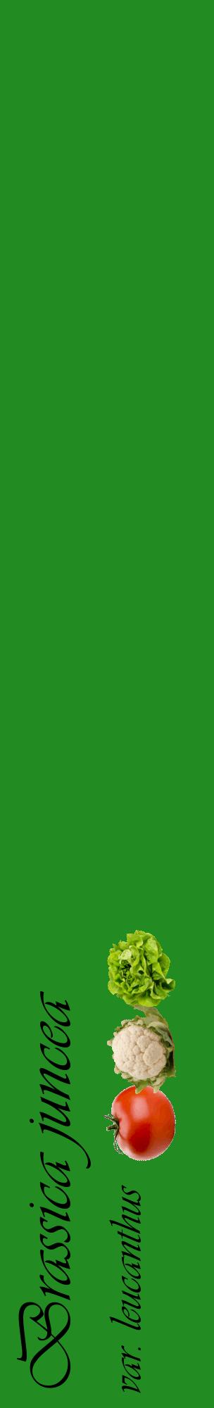 Étiquette de : Brassica juncea var. leucanthus - format c - style noire10_basiqueviv avec comestibilité simplifiée