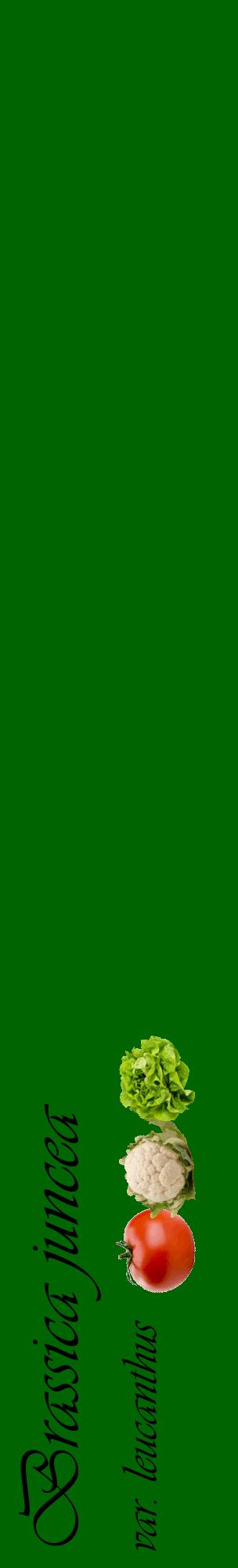 Étiquette de : Brassica juncea var. leucanthus - format c - style noire8_basiqueviv avec comestibilité simplifiée