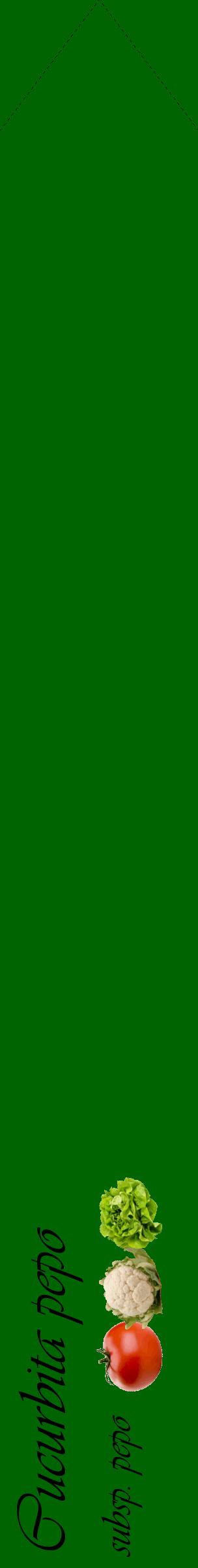 Étiquette de : Cucurbita pepo subsp. pepo - format c - style noire8_simpleviv avec comestibilité simplifiée
