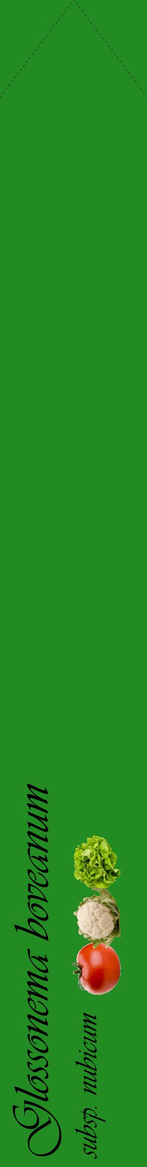 Étiquette de : Glossonema boveanum subsp. nubicum - format c - style noire10_simpleviv avec comestibilité simplifiée