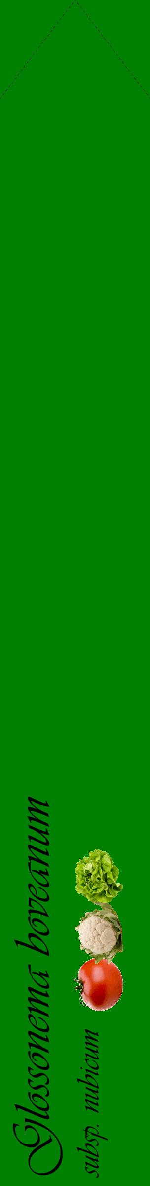 Étiquette de : Glossonema boveanum subsp. nubicum - format c - style noire9_simpleviv avec comestibilité simplifiée