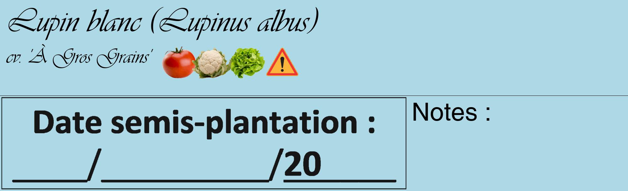 Étiquette de : Lupinus albus cv. 'À Gros Grains' - format c - style noire0_basique_basiqueviv avec comestibilité simplifiée