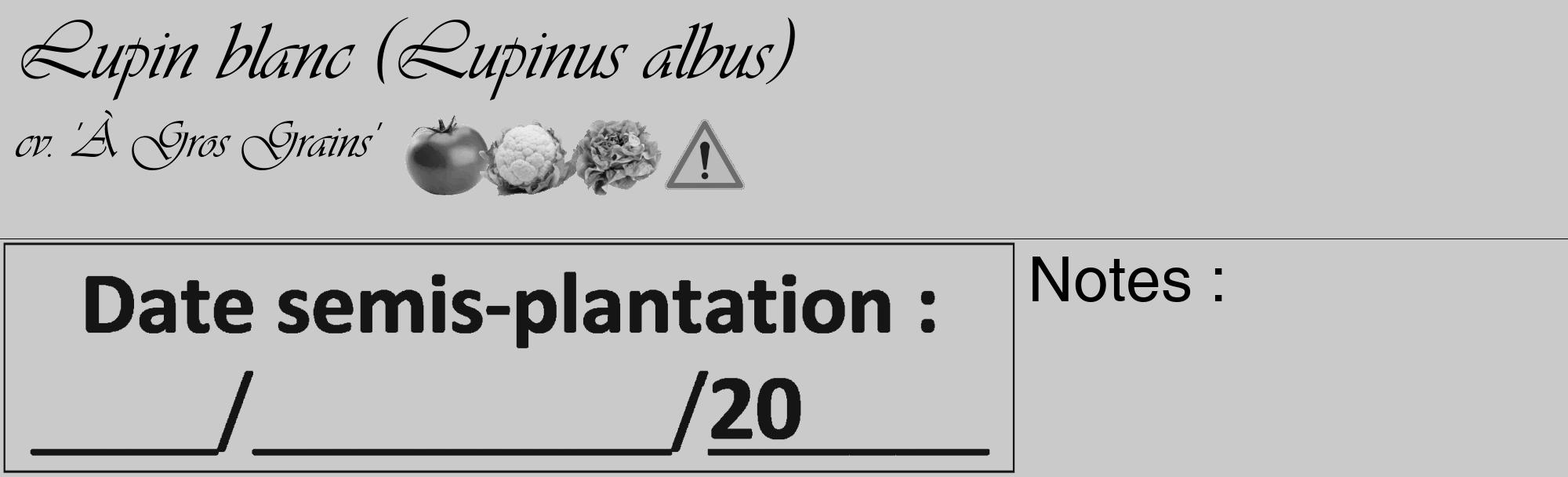 Étiquette de : Lupinus albus cv. 'À Gros Grains' - format c - style noire21_basique_basiqueviv avec comestibilité simplifiée