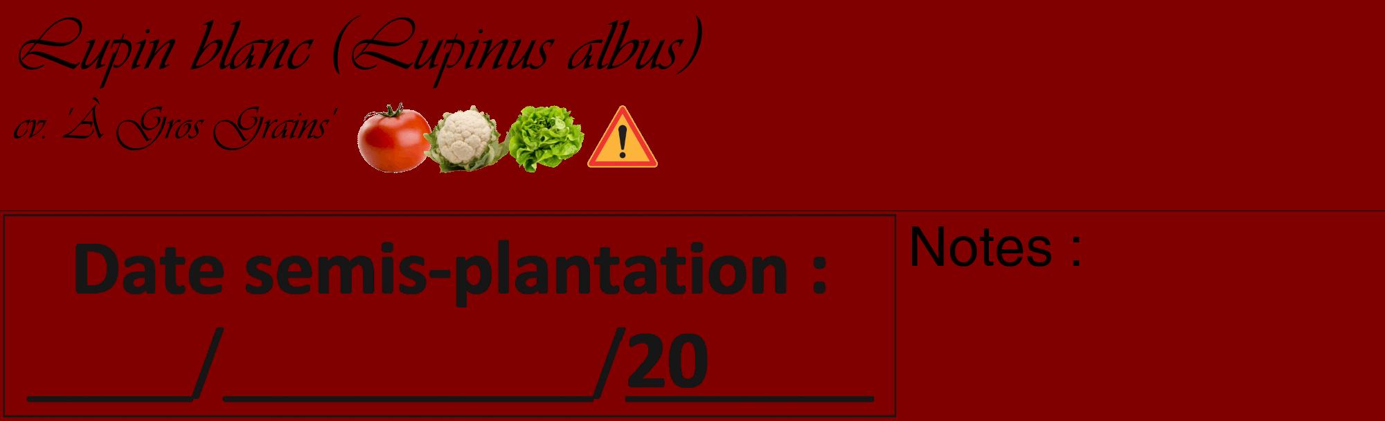 Étiquette de : Lupinus albus cv. 'À Gros Grains' - format c - style noire29_basique_basiqueviv avec comestibilité simplifiée