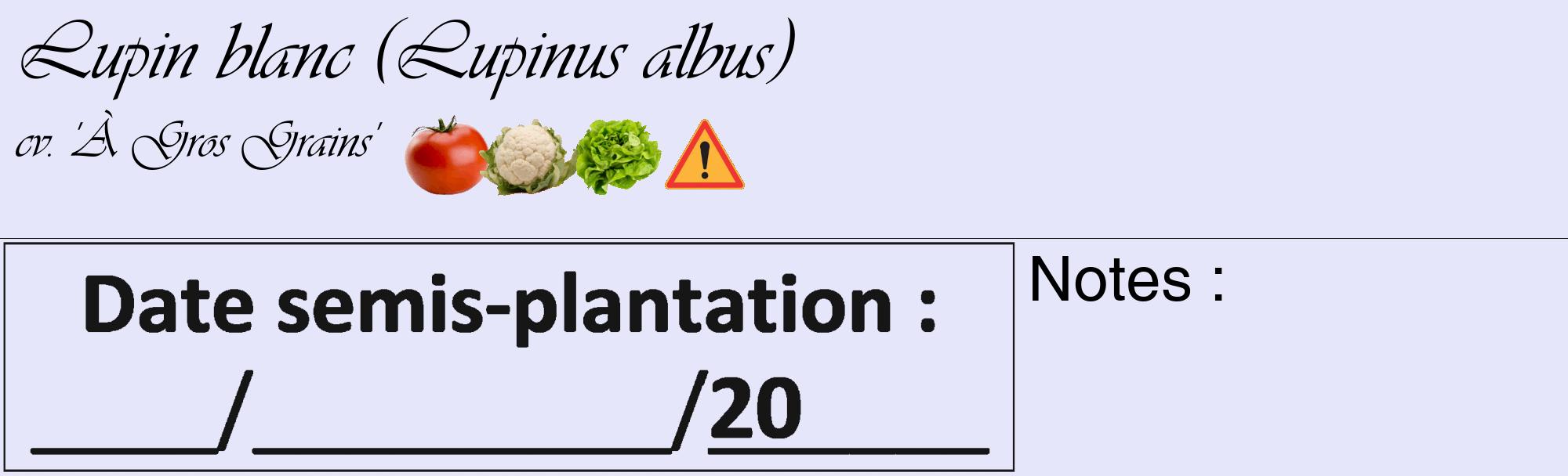 Étiquette de : Lupinus albus cv. 'À Gros Grains' - format c - style noire55_basique_basiqueviv avec comestibilité simplifiée