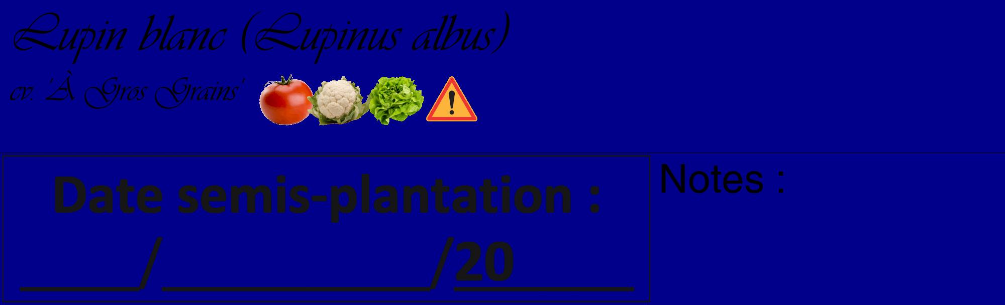 Étiquette de : Lupinus albus cv. 'À Gros Grains' - format c - style noire7_basique_basiqueviv avec comestibilité simplifiée