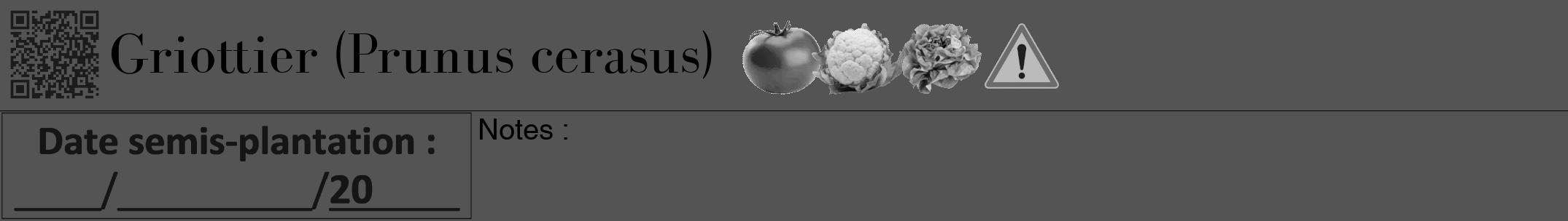 Étiquette de : Prunus cerasus - format a - style noire36bod avec qrcode et comestibilité simplifiée