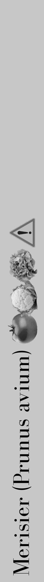 Étiquette de : Prunus avium - format a - style noire15bod avec comestibilité simplifiée - position verticale