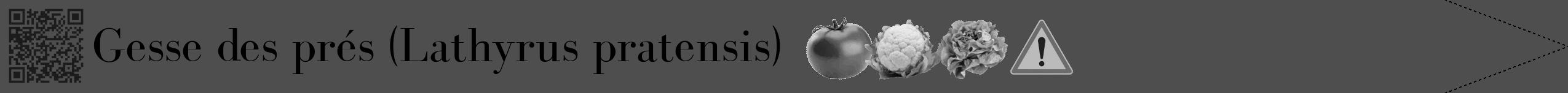 Étiquette de : Lathyrus pratensis - format b - style noire33bod avec qrcode et comestibilité simplifiée