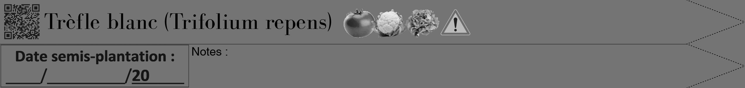 Étiquette de : Trifolium repens - format b - style noire26bod avec qrcode et comestibilité simplifiée