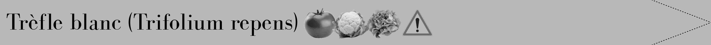 Étiquette de : Trifolium repens - format b - style noire39bod avec comestibilité simplifiée