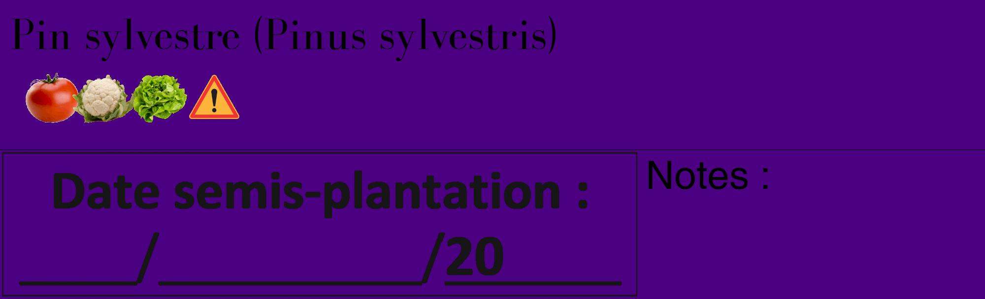 Étiquette de : Pinus sylvestris - format c - style noire47_basique_basiquebod avec comestibilité simplifiée