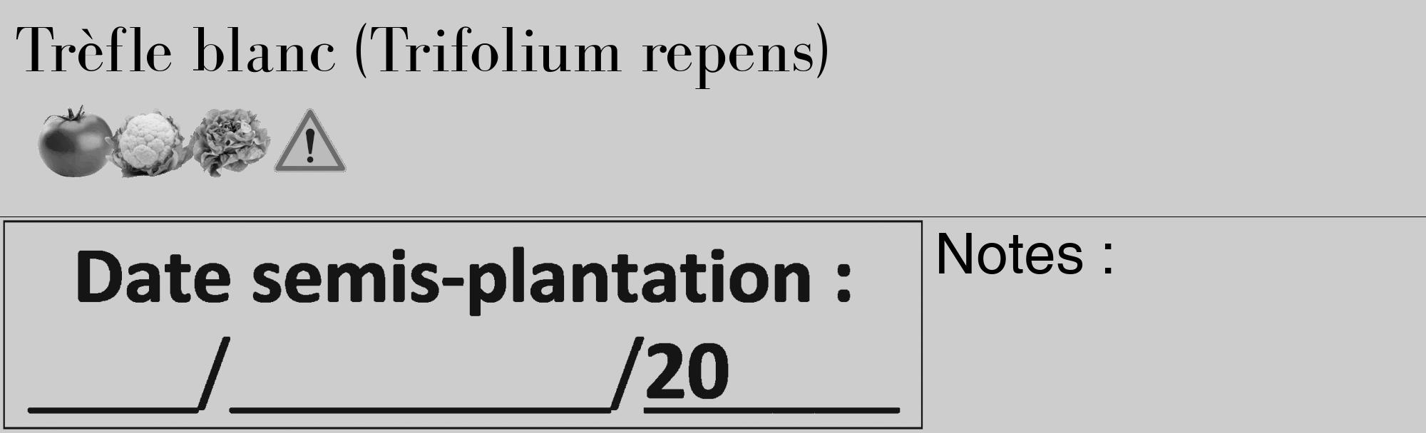 Étiquette de : Trifolium repens - format c - style noire41_basique_basiquebod avec comestibilité simplifiée