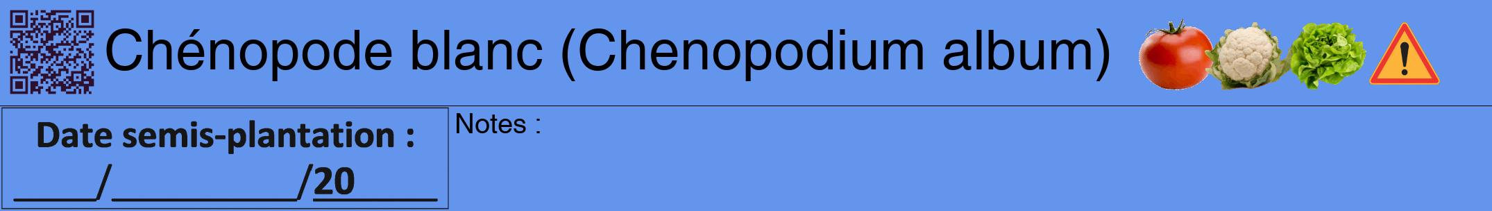Étiquette de : Chenopodium album - format a - style noire4hel avec qrcode et comestibilité simplifiée