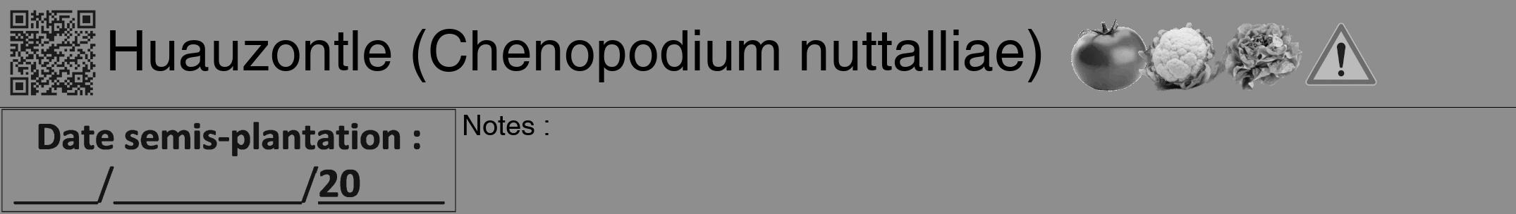 Étiquette de : Chenopodium nuttalliae - format a - style noire25hel avec qrcode et comestibilité simplifiée