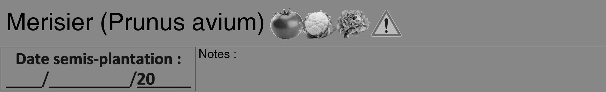 Étiquette de : Prunus avium - format a - style noire12hel avec comestibilité simplifiée