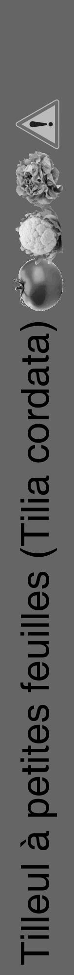 Étiquette de : Tilia cordata - format a - style noire32hel avec comestibilité simplifiée - position verticale