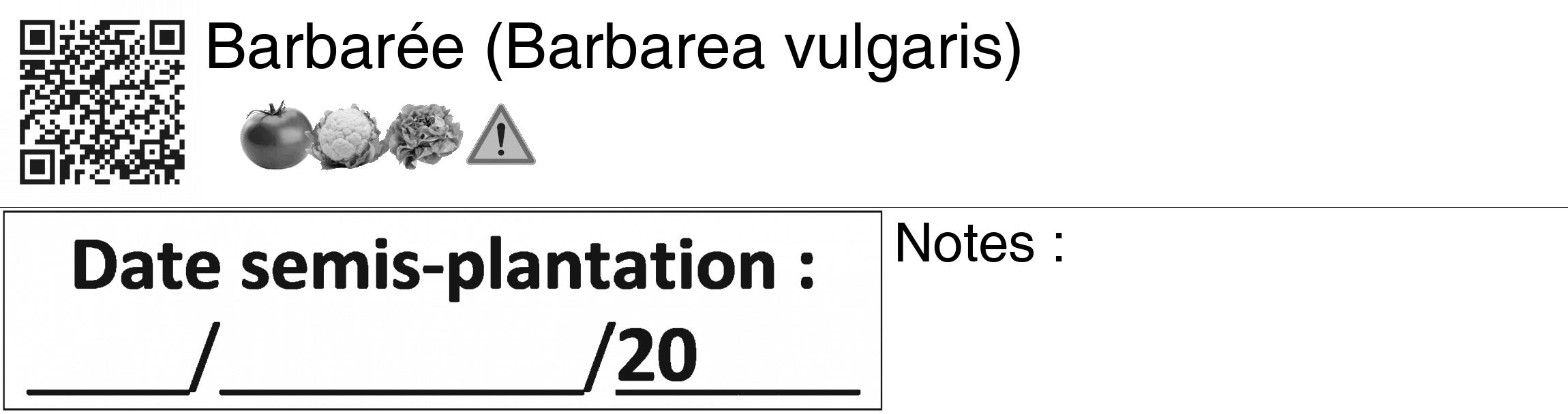Étiquette de : Barbarea vulgaris - format c - style noire60_basiquegrrvhel avec qrcode et comestibilité simplifiée