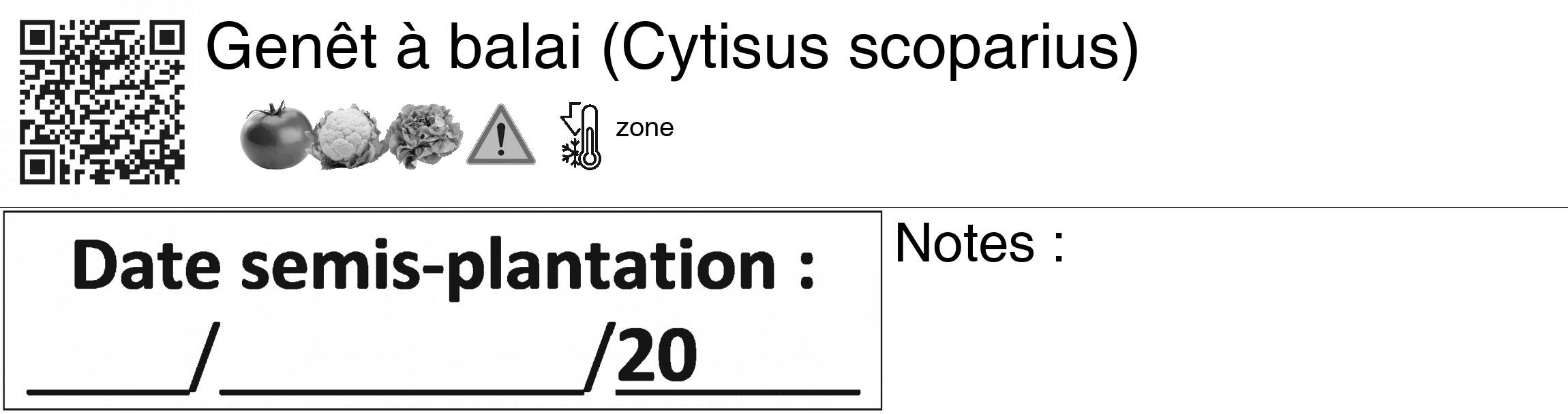 Étiquette de : Cytisus scoparius - format c - style noire60_basiquegrrvhel avec qrcode et comestibilité simplifiée