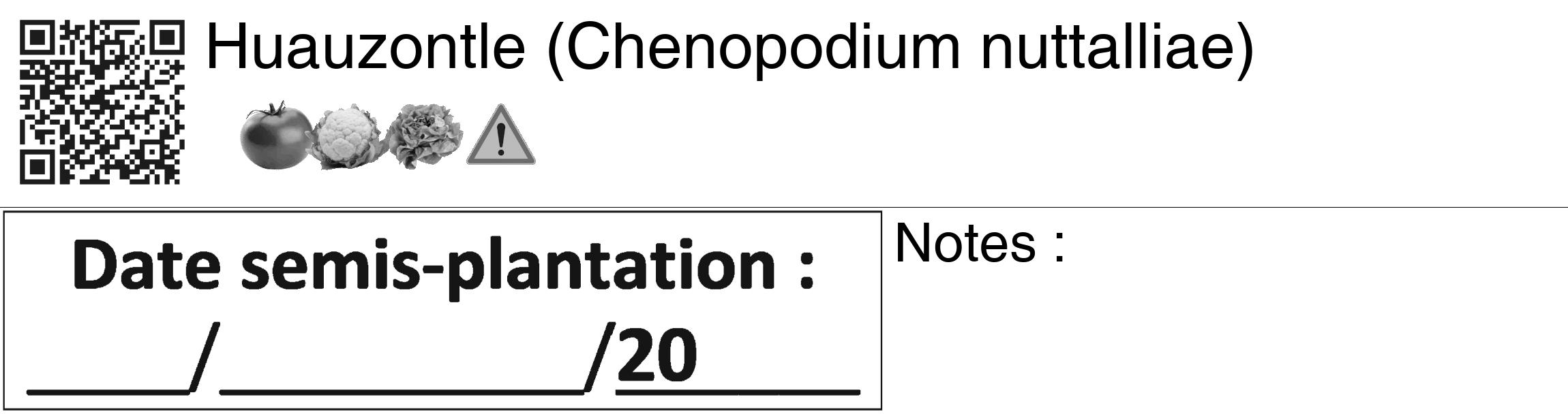 Étiquette de : Chenopodium nuttalliae - format c - style noire60_basiquegrrvhel avec qrcode et comestibilité simplifiée