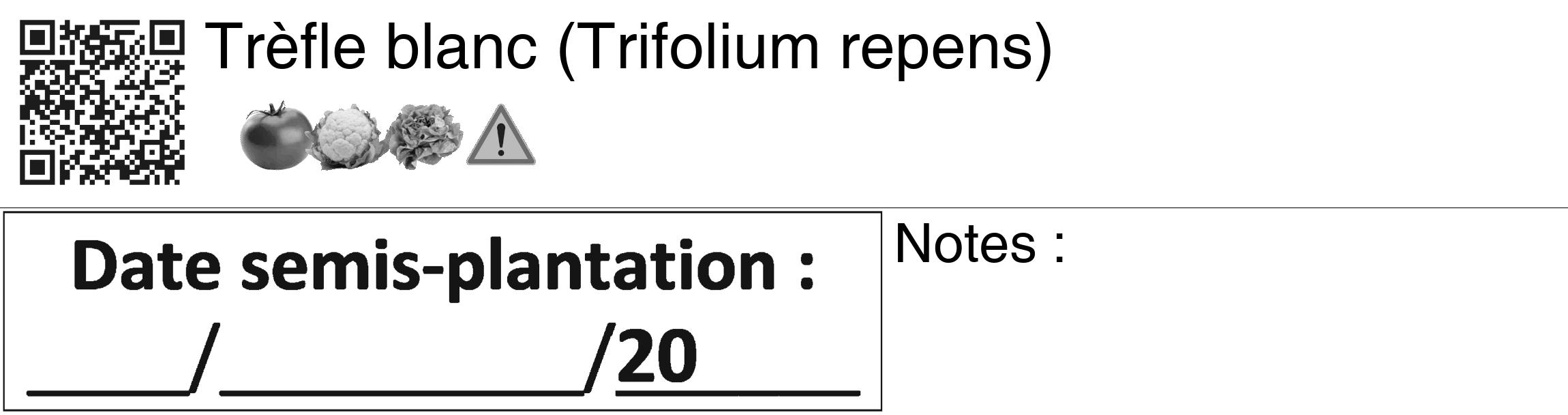 Étiquette de : Trifolium repens - format c - style noire60_basiquegrrvhel avec qrcode et comestibilité simplifiée