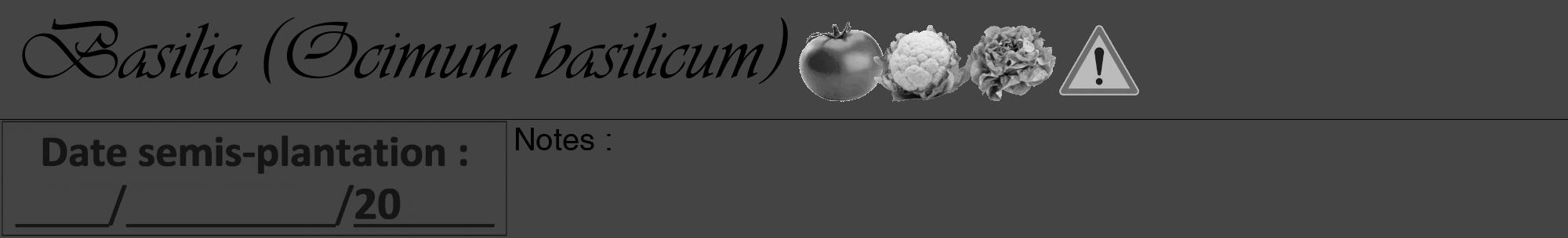 Étiquette de : Ocimum basilicum - format a - style noire48basiqueviv avec comestibilité simplifiée