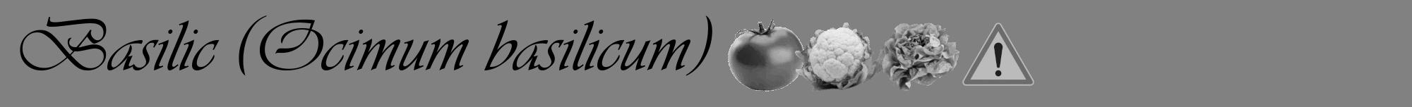 Étiquette de : Ocimum basilicum - format a - style noire50viv avec comestibilité simplifiée