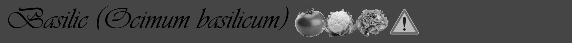 Étiquette de : Ocimum basilicum - format a - style noire58viv avec comestibilité simplifiée