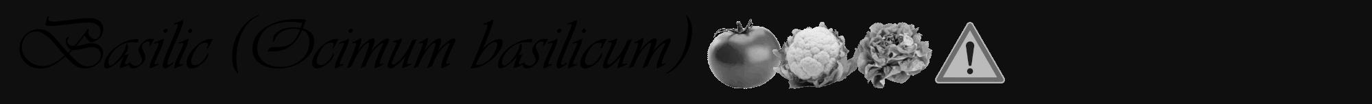 Étiquette de : Ocimum basilicum - format a - style noire7viv avec comestibilité simplifiée