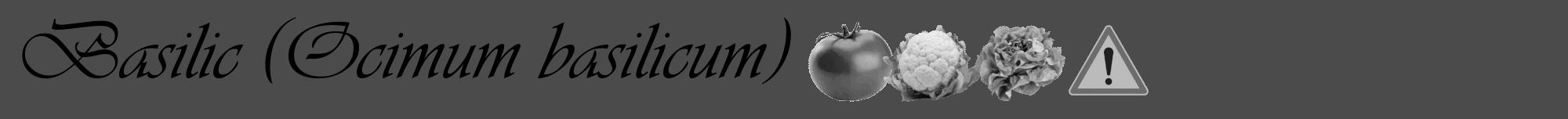 Étiquette de : Ocimum basilicum - format a - style noire9viv avec comestibilité simplifiée