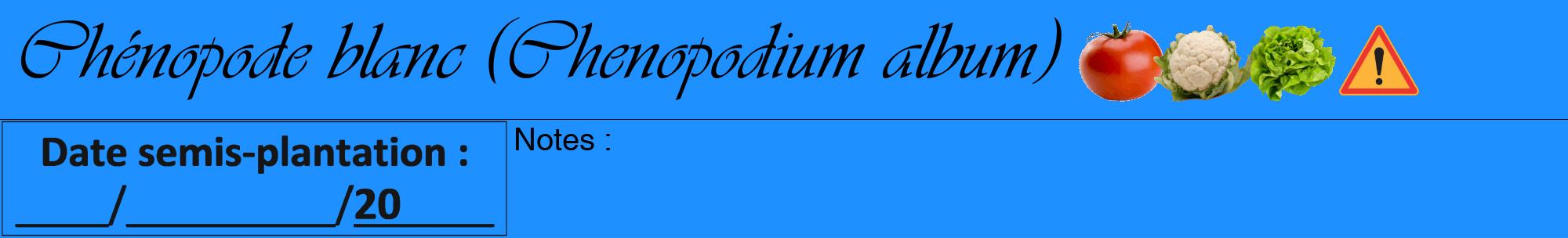 Étiquette de : Chenopodium album - format a - style noire3viv avec comestibilité simplifiée