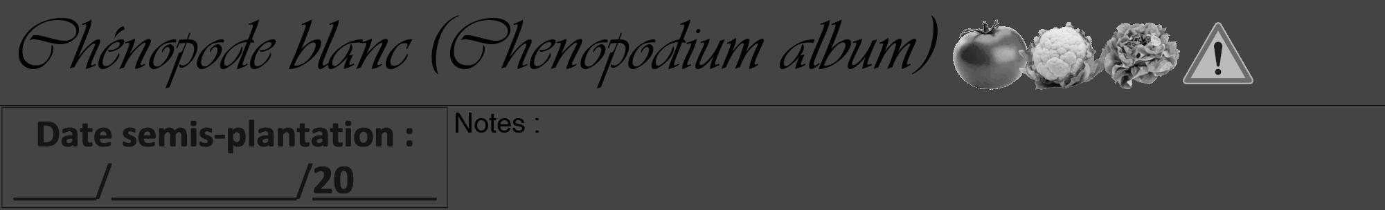Étiquette de : Chenopodium album - format a - style noire48viv avec comestibilité simplifiée