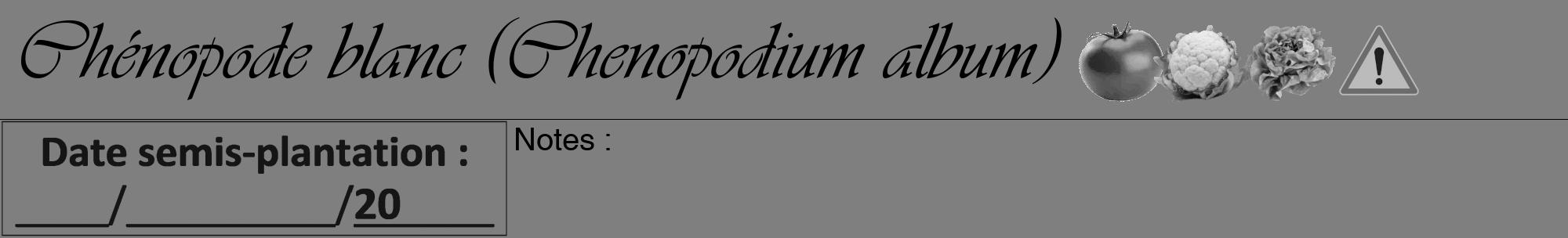 Étiquette de : Chenopodium album - format a - style noire57viv avec comestibilité simplifiée
