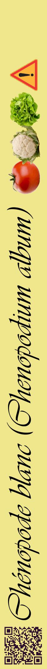 Étiquette de : Chenopodium album - format a - style noire20viv avec qrcode et comestibilité simplifiée