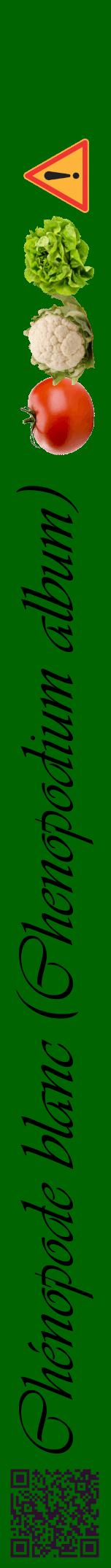 Étiquette de : Chenopodium album - format a - style noire8viv avec qrcode et comestibilité simplifiée