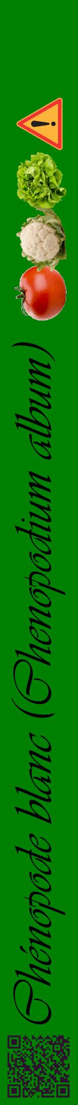 Étiquette de : Chenopodium album - format a - style noire9viv avec qrcode et comestibilité simplifiée