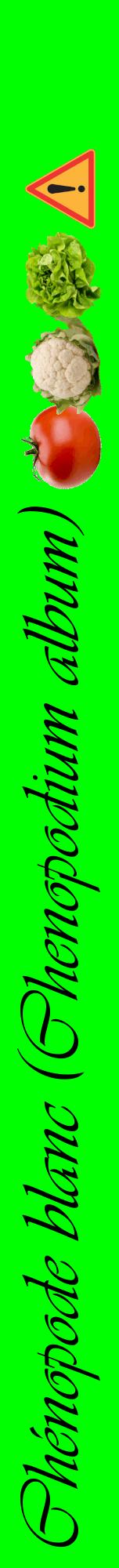 Étiquette de : Chenopodium album - format a - style noire16viv avec comestibilité simplifiée