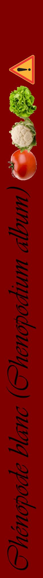 Étiquette de : Chenopodium album - format a - style noire29viv avec comestibilité simplifiée