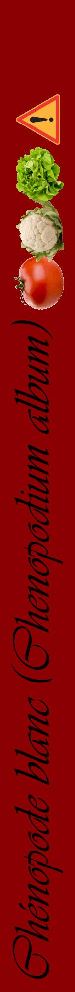Étiquette de : Chenopodium album - format a - style noire34viv avec comestibilité simplifiée