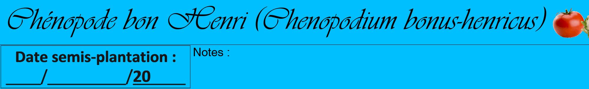 Étiquette de : Chenopodium bonus-henricus - format a - style noire2viv avec comestibilité simplifiée