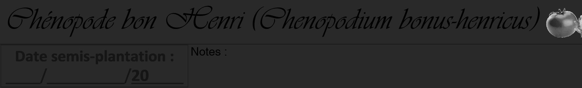 Étiquette de : Chenopodium bonus-henricus - format a - style noire34viv avec comestibilité simplifiée