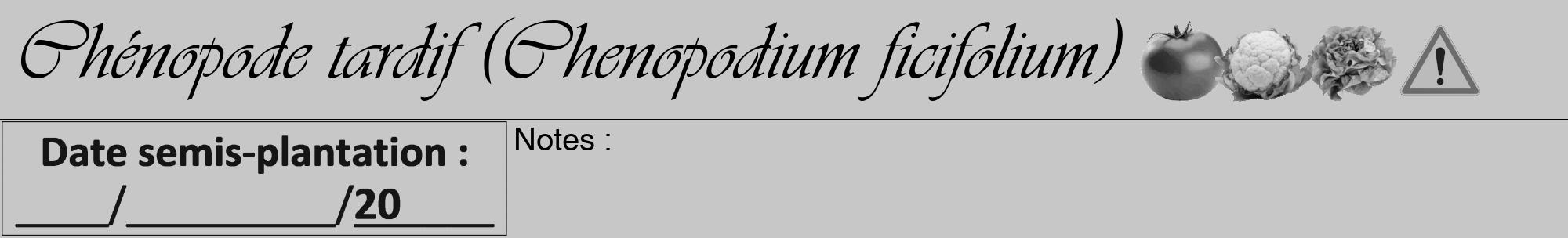 Étiquette de : Chenopodium ficifolium - format a - style noire15viv avec comestibilité simplifiée