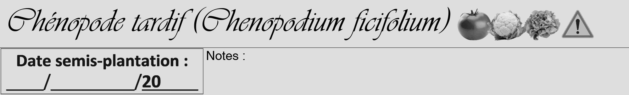 Étiquette de : Chenopodium ficifolium - format a - style noire20viv avec comestibilité simplifiée