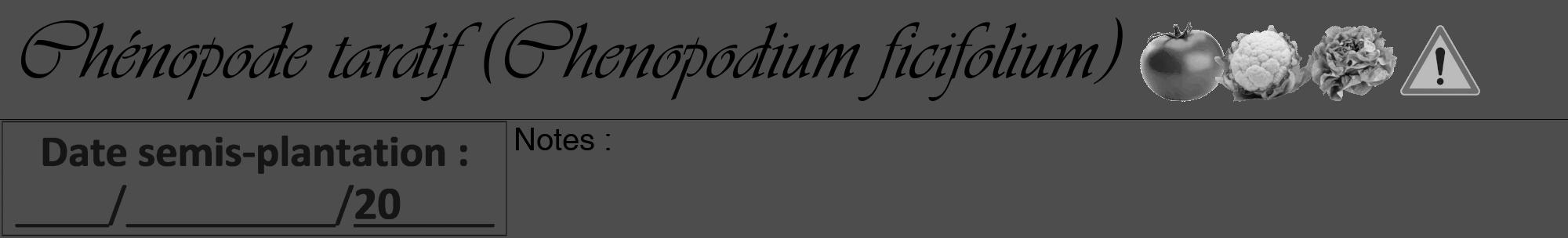 Étiquette de : Chenopodium ficifolium - format a - style noire28viv avec comestibilité simplifiée