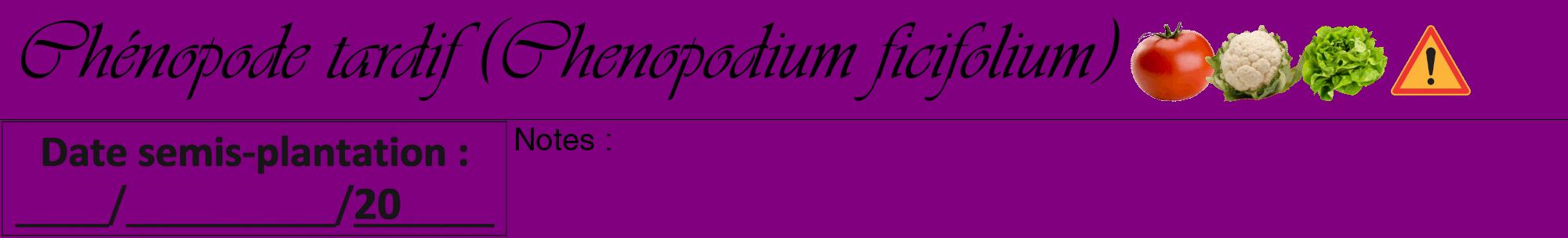 Étiquette de : Chenopodium ficifolium - format a - style noire46basiqueviv avec comestibilité simplifiée