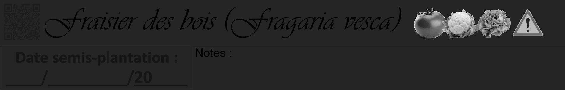 Étiquette de : Fragaria vesca - format a - style noire47basiqueviv avec qrcode et comestibilité simplifiée