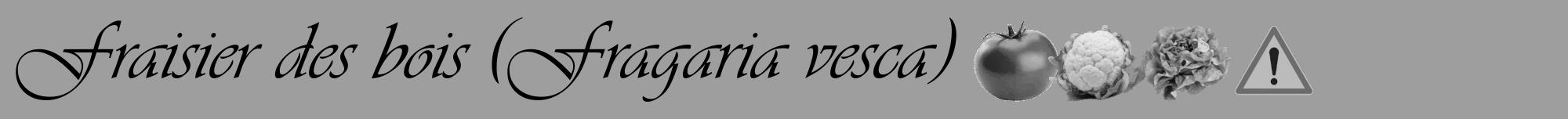 Étiquette de : Fragaria vesca - format a - style noire23viv avec comestibilité simplifiée